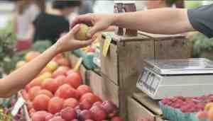 farmers market
