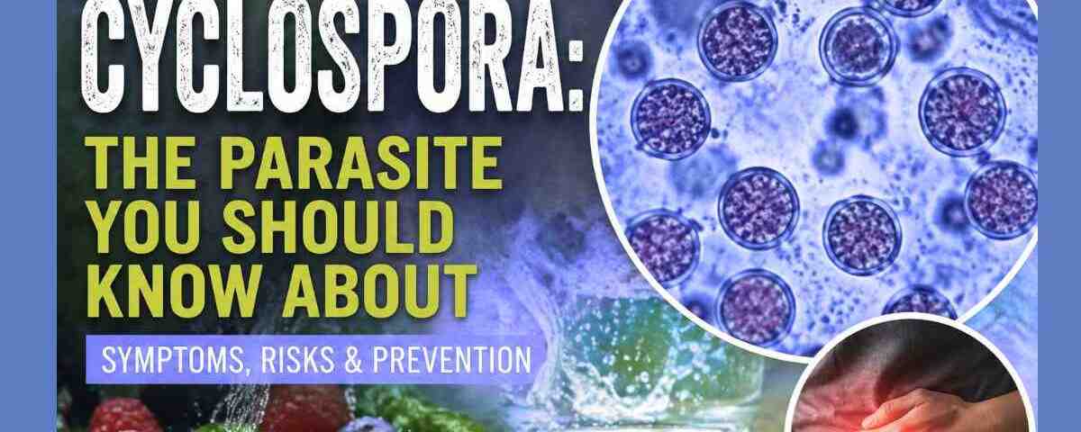 The Recent Rise in Cyclospora