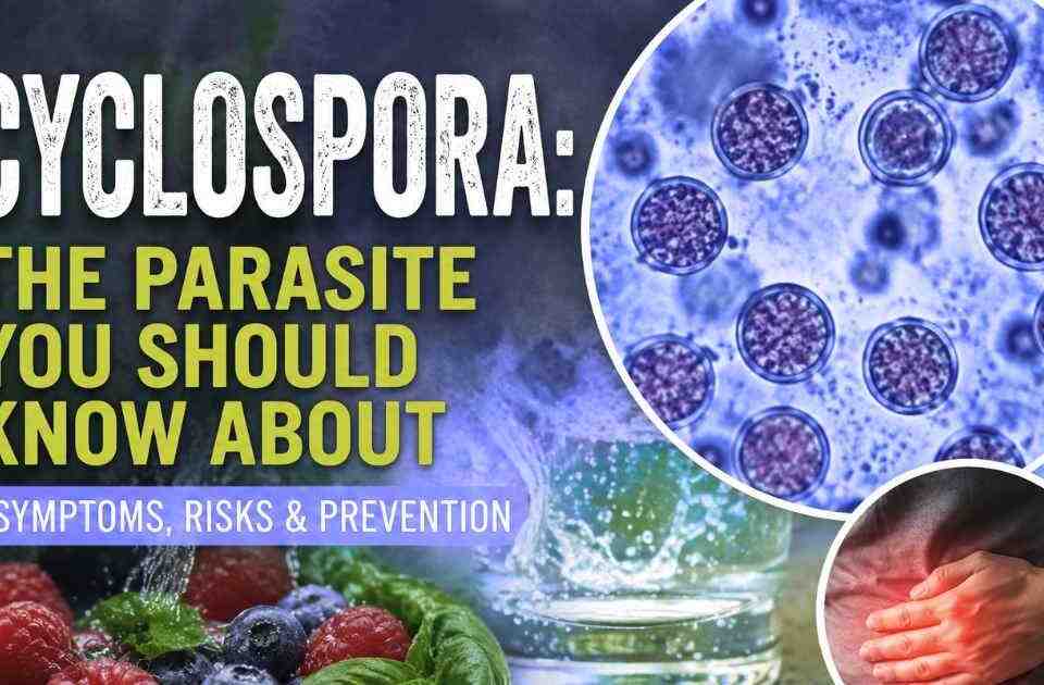 The Recent Rise in Cyclospora